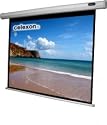 Quinta Celexon Leinwand Motor Economy 240 x 180 cm