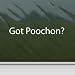 Got Poochon? White Sticker Bichon Frise Poodle Laptop Vinyl White Decal