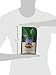 Cafe Altura Whole Bean Organic Coffee, San Francisco Blend, 2 Pound