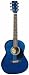 J. Reynolds 36 3/4-size Acoustic Guitar - Transparent Blue
