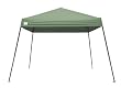 Bravo Lawn & Garden 10 x 10 Quik Shade Instant Canopy