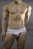 C-in2 Spring 08 Kinetic Mesh Profile Brief