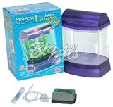 All-glass Minibow 1-purple