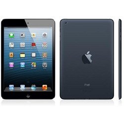 iPad mini wifi 16GB Black