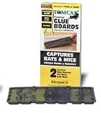 Durvet Motomco Tomcat Rat Glue Board 2 Pack Pack Of 12 - 32424