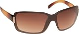 Coyote Eyewear DL 03 Sunglasses by
