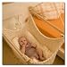 Babyschwinger