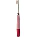 waterproof Sonic Electric Toothbrush with 3 Brush Heads,PINK