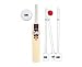 GUNN & MOORE Flare DXM Moulded Cricket Set