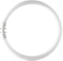 Tube fluo Master TL5 Circulaire C-T5 40 Watts CC 840 2GX13 4000K