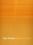 Ayşe Erkmen : under the roof