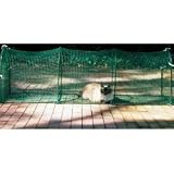  : Kitty Walk - Deck & Patio Model -Safe Fun (Green) (24"H x 19"W x 6'L)