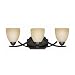 Triarch International 33240/3 Value Series 240 Collection 3-Light Vanity Fixture, English Bronze with Antiqued Cognac Painted Glass