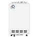 Takagi T-K4-IN-LP Indoor Tankless Water Heater, Propane