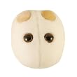 Giant Microbes - Beer & Bread (Saccharomyces cerevisiae) Educational Plush Toy