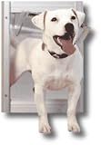 Innotek AK10-601-11 Classic Pet Door - Medium White