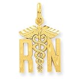 14k Nurse Charm