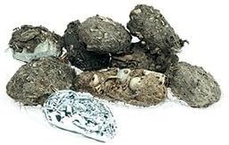 Perfect Pellet Large Barn Owl