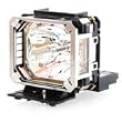 Replacement Lamp RS-LP04