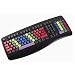 Electronics : Kids' Chester Creek Keyboard LessonBoard
