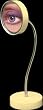 Magic Focus Big Eyes Standing Vanity Gooseneck 5X Mirror in Bone