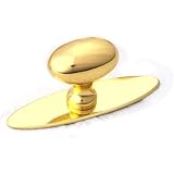 Polished Brass Oval Backplate