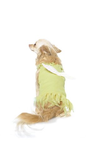 Puppy Sprite Includerhinestoned Dress And Wings (Yellow;Small)