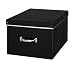 Bigso 118105911 Big Bengt Extra-Large Storage Box with Lid, Black