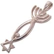 Messianic Seal - Style VIII - Sterling Silver Pendant (3.7cm or 1.45" w/o loop) - Comes with Silver box chain