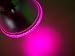 LED Pflanzenlampe PAR38 Reflektor E27 Grow Pflanzenlicht Corallicht Rot Blau