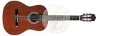 Stagg Music Student Size Acoustic Guitar C516