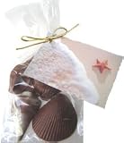 Chocolate Seashell Gift Bag Favor