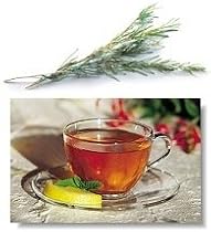 Antioxidant Goji Berry Organic Rooibos Tea 1 Lb. Bulk Fine Cut