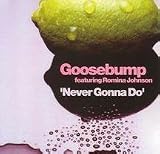 Never Gonna Do