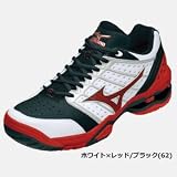 【次回３/中旬入荷予約】 ミズノ(mizuno) テニスシューズ ウェーブ インペリアル 【3E】【砂入り人工芝＆クレー】(6KD20062)