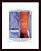Barbarian Invasions The, Art Poster by Unknown Artist, with Wood Frame, poster size: 11
