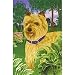 terrier13  - Cairn Terrier House Flag by GR8 Dogs Multi
