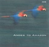 Andes to Amazon Search