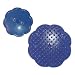 American Shampoo Brush * Blue