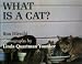 What Is a Cat?