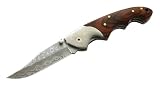 Review Herbertz, Solingen  / Herbertz Lock Knife, AISI 420, Pakka Wood