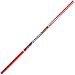 Altuis Pole (10-Feet 8-Inch 100-Pound)