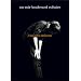Vincent Delerm : Un soir Boulevard Voltaire - DVD