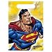 Search : Superman Returns Treat Bags - 8 Count
