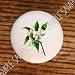 FLORIDA ORANGE BLOSSOM FLOWERS DRAWER PULLS KNOBS-visli Cheap Deals