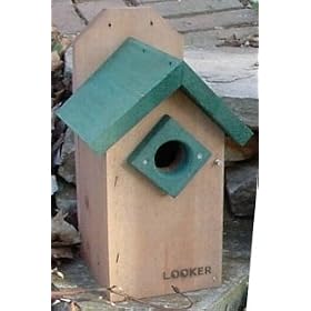 Looker Green Roof Bluebird House by Looker Inc