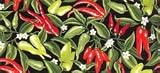 Basic Style Apron - Pick a Pepper
