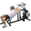 Isolation Incline Bench (EA)