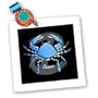 Zodiac Signs Horoscope - Cancer Zodiac Sign - Quilt Squares