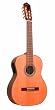 Giannini GWNC1/7-EL Sevilha Classical Guitar (Acoustic-Electric, Nylon, 7-String)